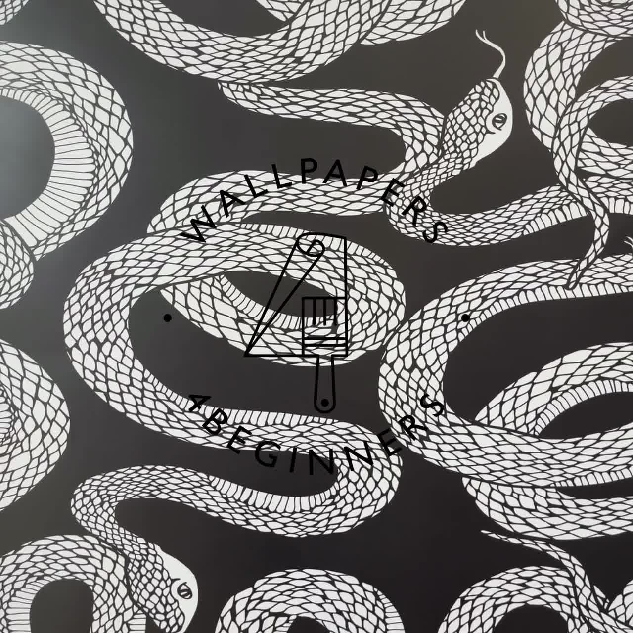 Madam White Snake wenfei ye parasol coupel frumusete luminos white  snake HD wallpaper  Peakpx