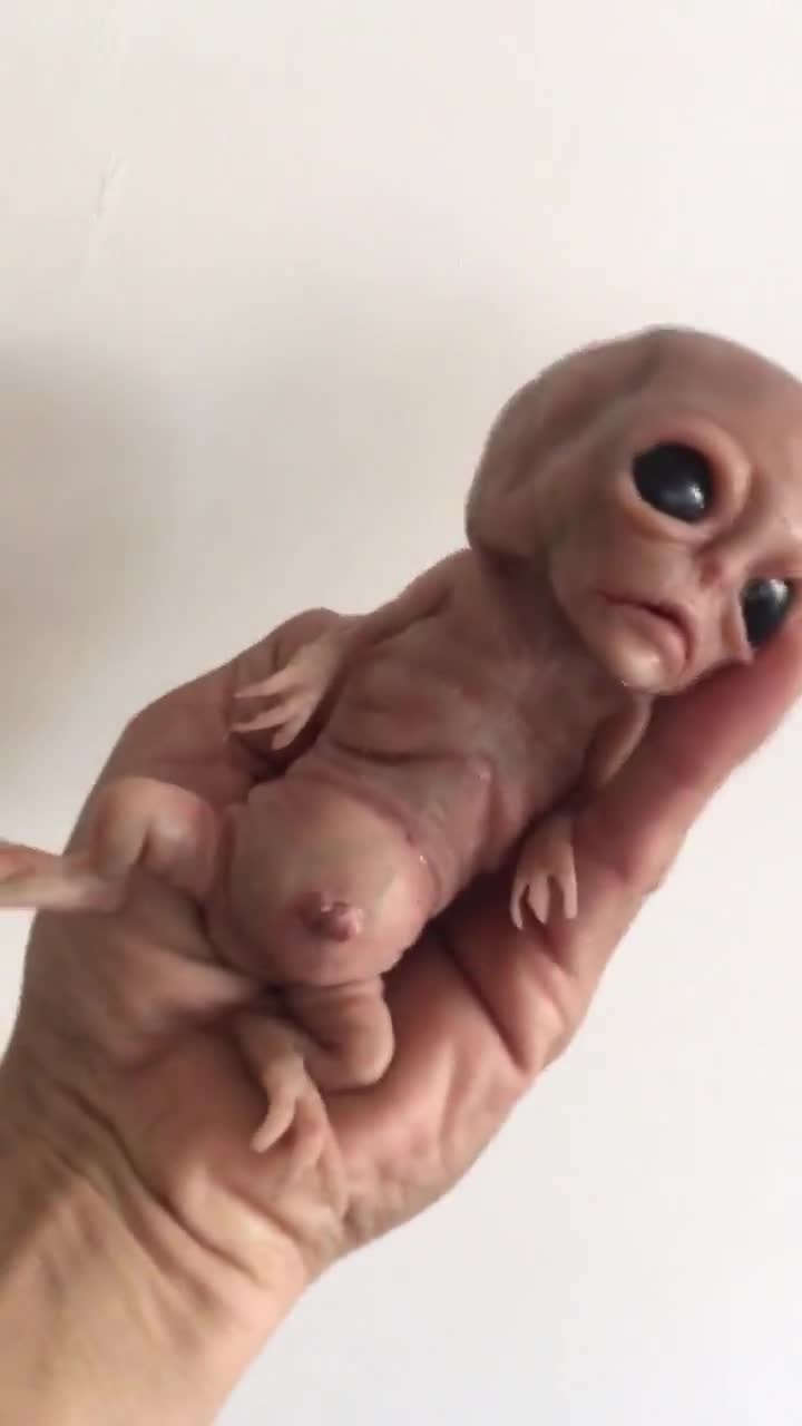 Baby Terrors: Baby Alien　エイリアン　フィギュア Amazon.co.jp: Baby Terrors Baby Alien エイリアン フィギュア