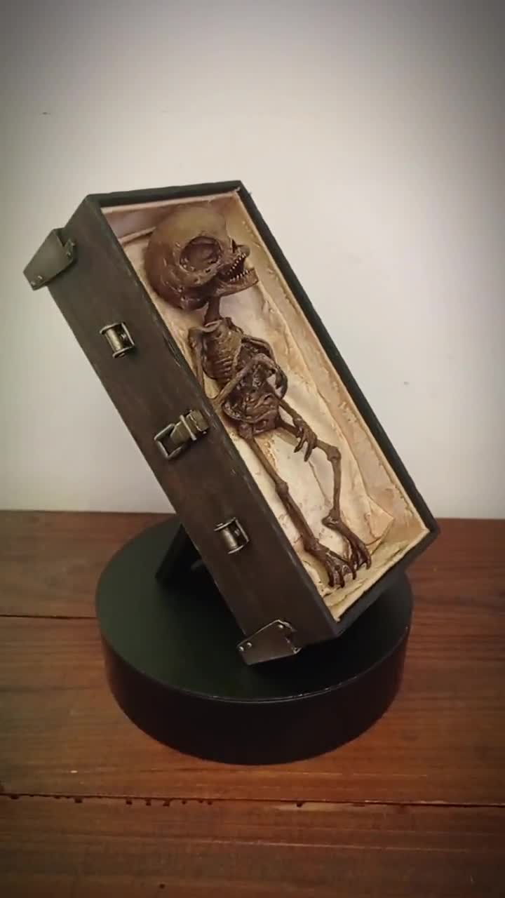 ミイラ化した宇宙人標本 – ナスカのUFO遺物展示 - Etsy 日本