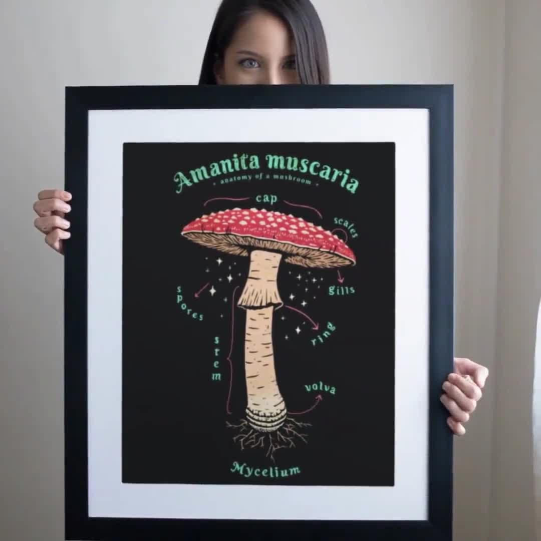 The Anatomy of a Mushroom Art Print 