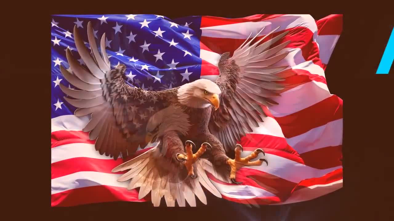 American Flag Attack Bald Eagle Wings Decal - Etsy