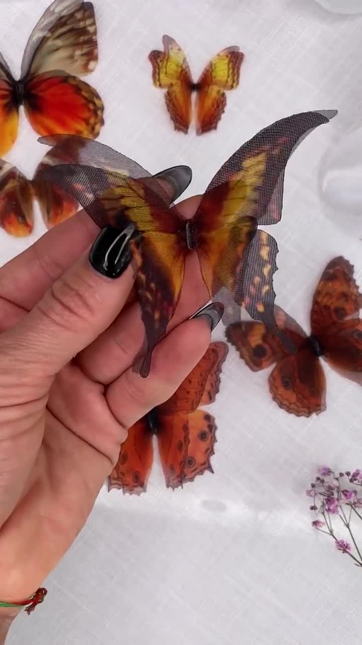 Set of 10 Silk Butterflies 