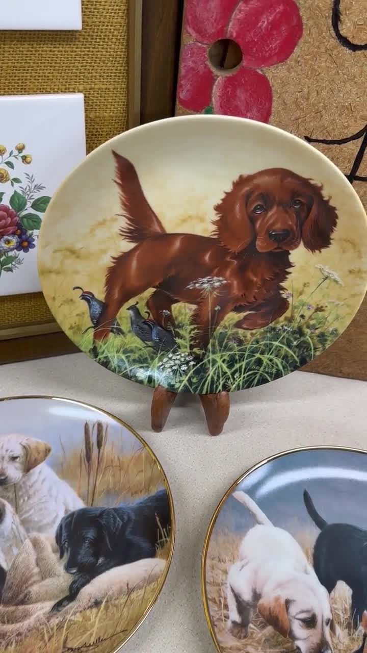 Vintage Dog Collector Plate: Irish Setter, Labrador Retriever