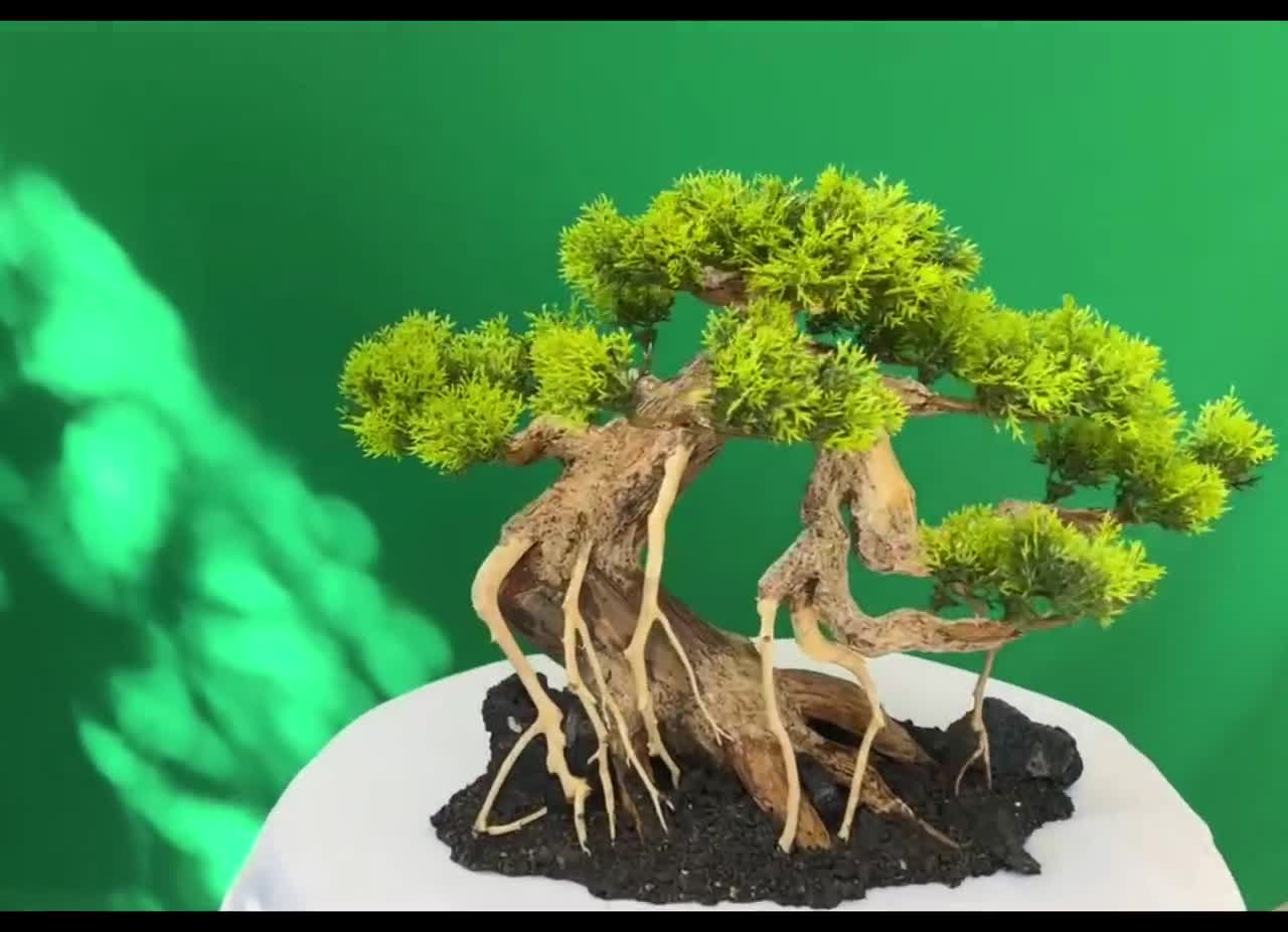 Recycle Old Base Into Beautiful Bonsai Aquatic Tank - Mini Desktop