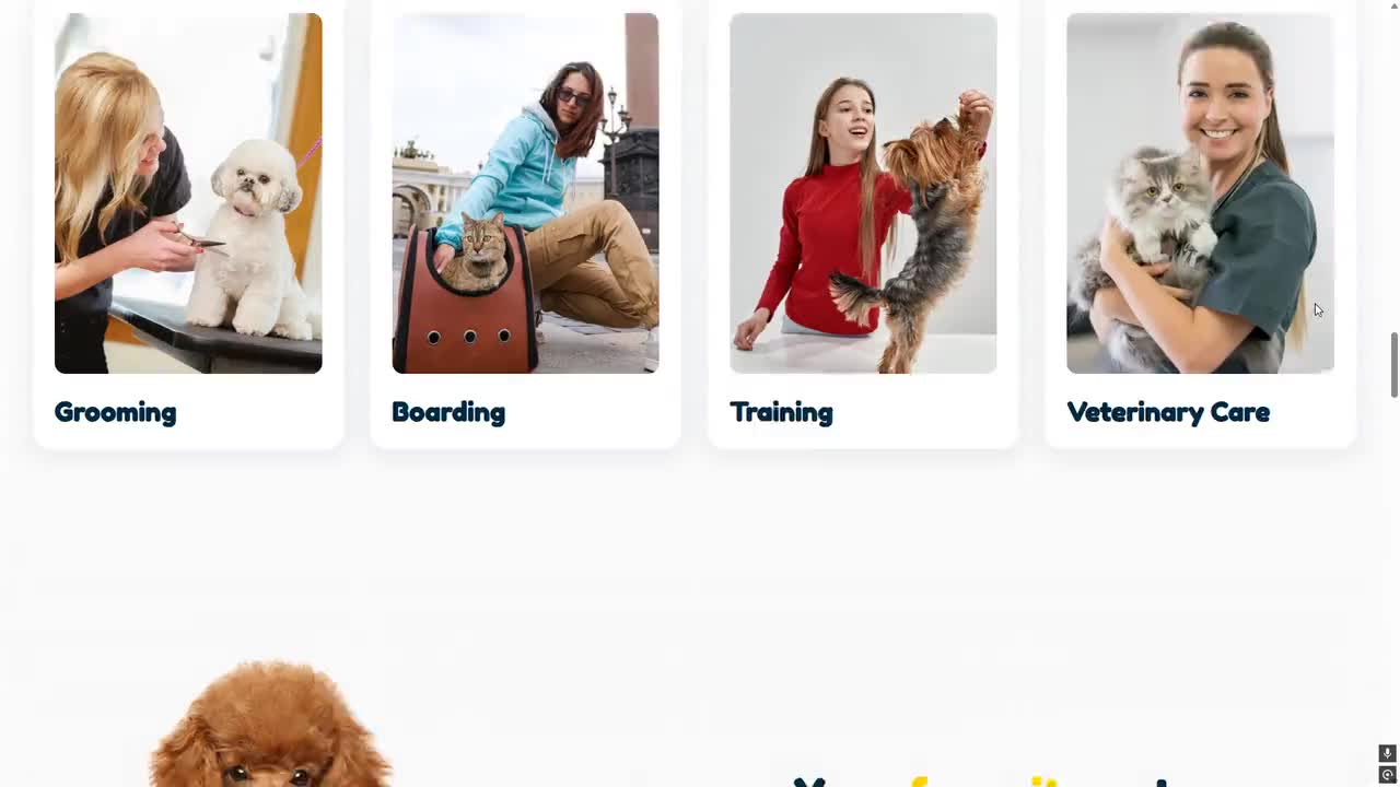 WordPress-tema för djuraffär, WooCommerce-mall för djuraffär, Elementor Pro-webbdesign för djurvård, webbplatsmall för hundtrimning och veterinärklinik video poster