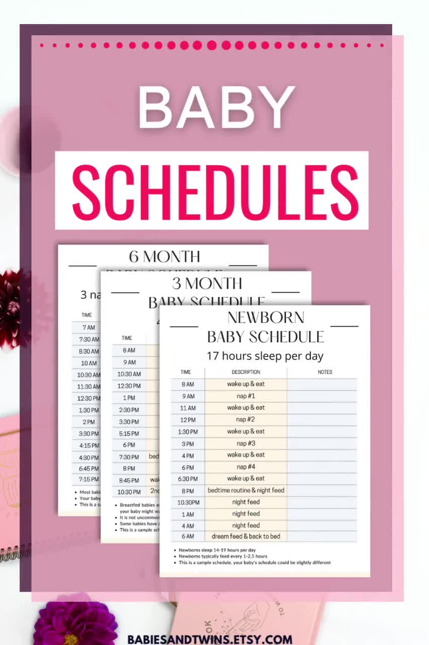 baby-schedule-printable-baby-schedule-template-fillable-pdf-sample-daily-infant-baby-care-schedules-newborn-to-1-year-tracker-planner-log-etsy