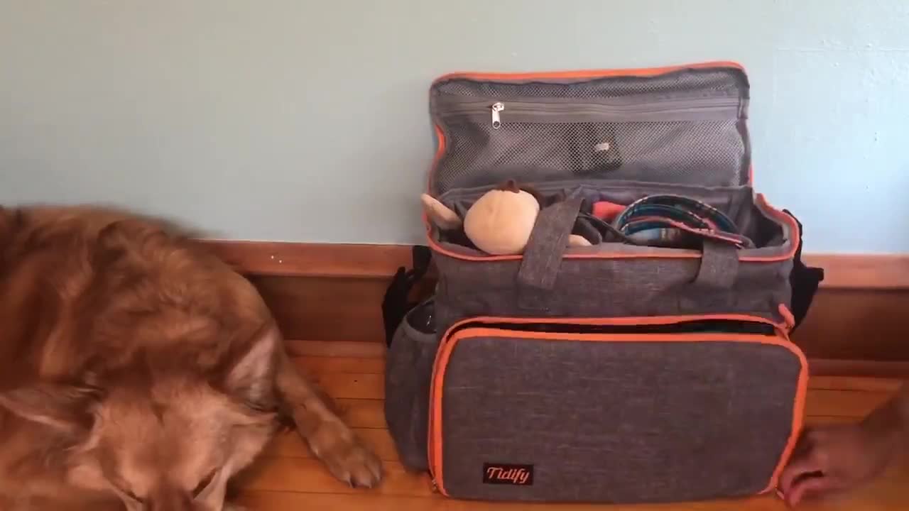 Bolsa de viaje para perros, organizador de mochila para perros, kit de  viaje para mascotas, compatible con aerolíneas, incluye almohadilla grande