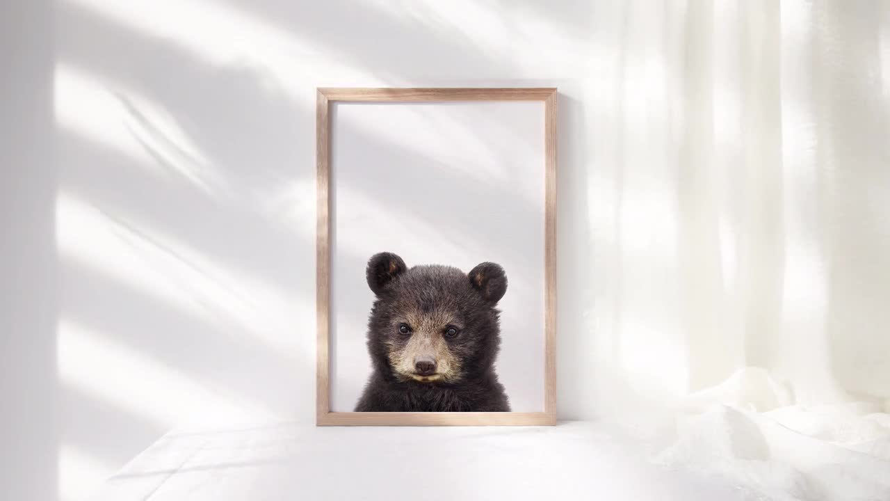 Baby bear best sale wall art