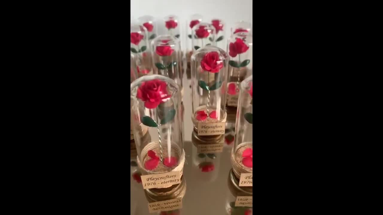 10 pezzi rosa incantata bella e la bestia con petali caduti in mini cupola  di vetro bomboniera, matrimonio bella e la bestia, rosa in vetro -   Italia