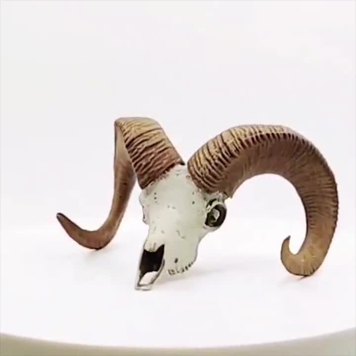 激安 人工猛犸牙素材彫羊 ロープ付 bighornsheep1_kstkyc.jpg