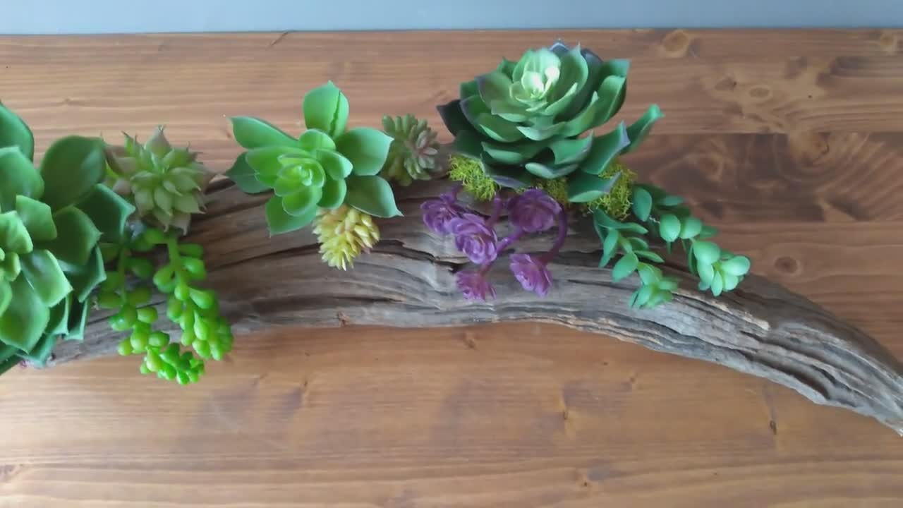 Driftwood with faux succulents , Driftwood deals centerpiece, Faux succulent arrangement, Wood terrarium, Rustic decor