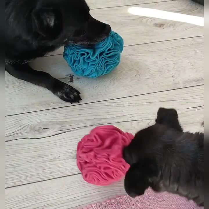 DIY Snuffle Ball for Dogs: How to Make a Snuffle Ball in 10 Easy Steps!