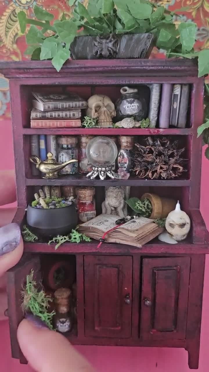 Witch hotsell or sorcerer cupboard / apothecary