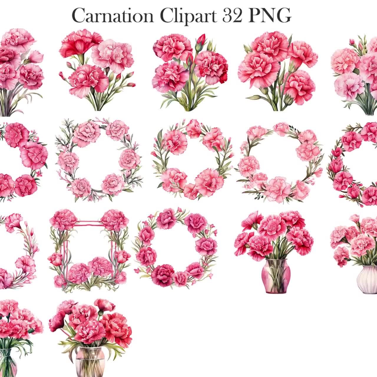 valentine-carnation-clip-art-how-to-draw-a-carnation-flower-an-easy