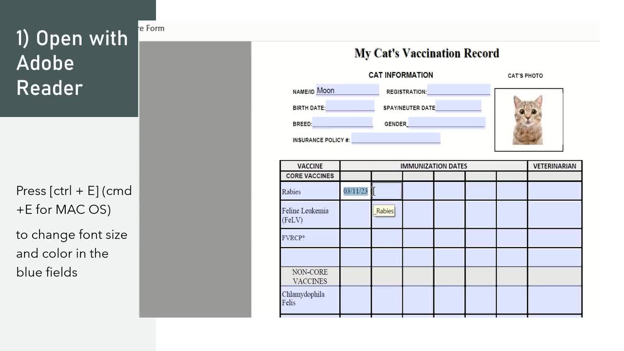 cat-vaccination-record-cat-health-record-cat-shot-record-pet-health-record-instant-download-pdf-fillable-printable-etsy