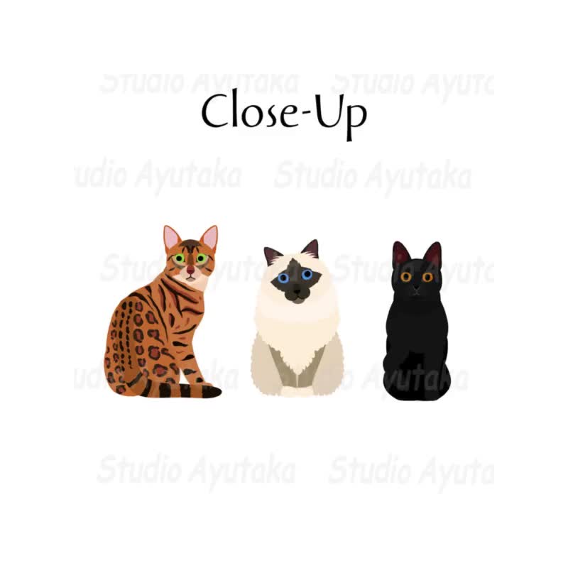 A~T 49 Breed Cats Bundle - Hand-drawn Clipart Set (SVG, PNG) - Etsy