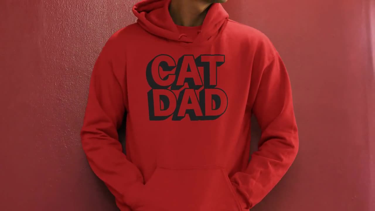 Cat Dad Old Man And Fluffy Cats Personalized Hoodie Sweatshirt