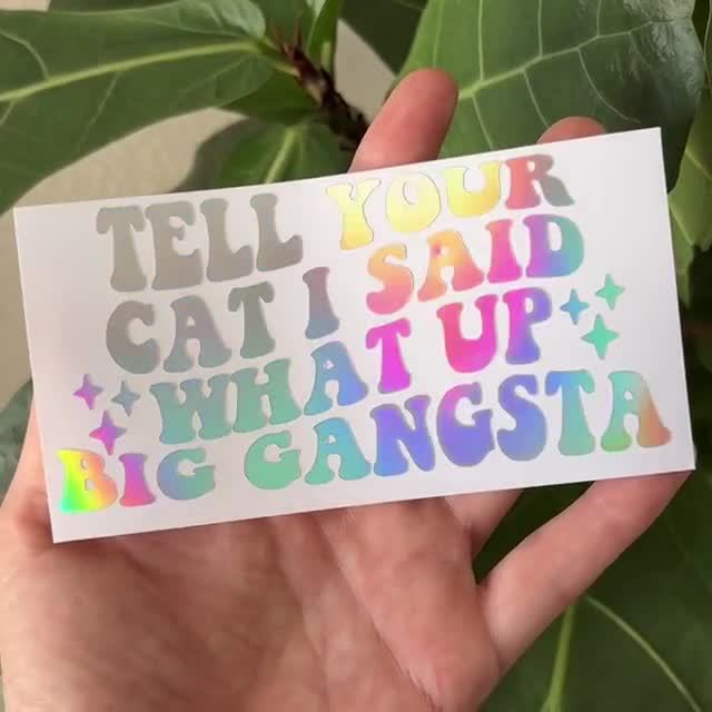 Tell Your Cat I Said What Up Gangsta Vinyl Decal | Truck Car Window Rearview Mirror Laptop Bumper Sticker | Holographic Funny Drive Stickers video poster