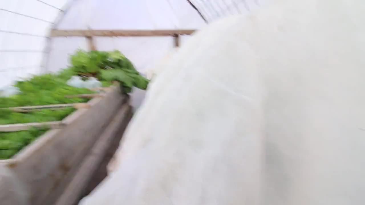 🌱🏡 Construyendo un Invernadero de Tierra Paso a Paso 🏡🌱 Un invernadero  de tierra es una solución inteligente para quienes desean cultivar plantas  durante todo el año y disfrutar del aislamiento natural, image size:1280x720