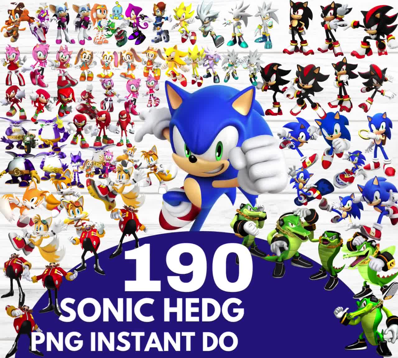 ソニック・ザ・ヘッジホッグ アートイラスト サイン入り シリアル