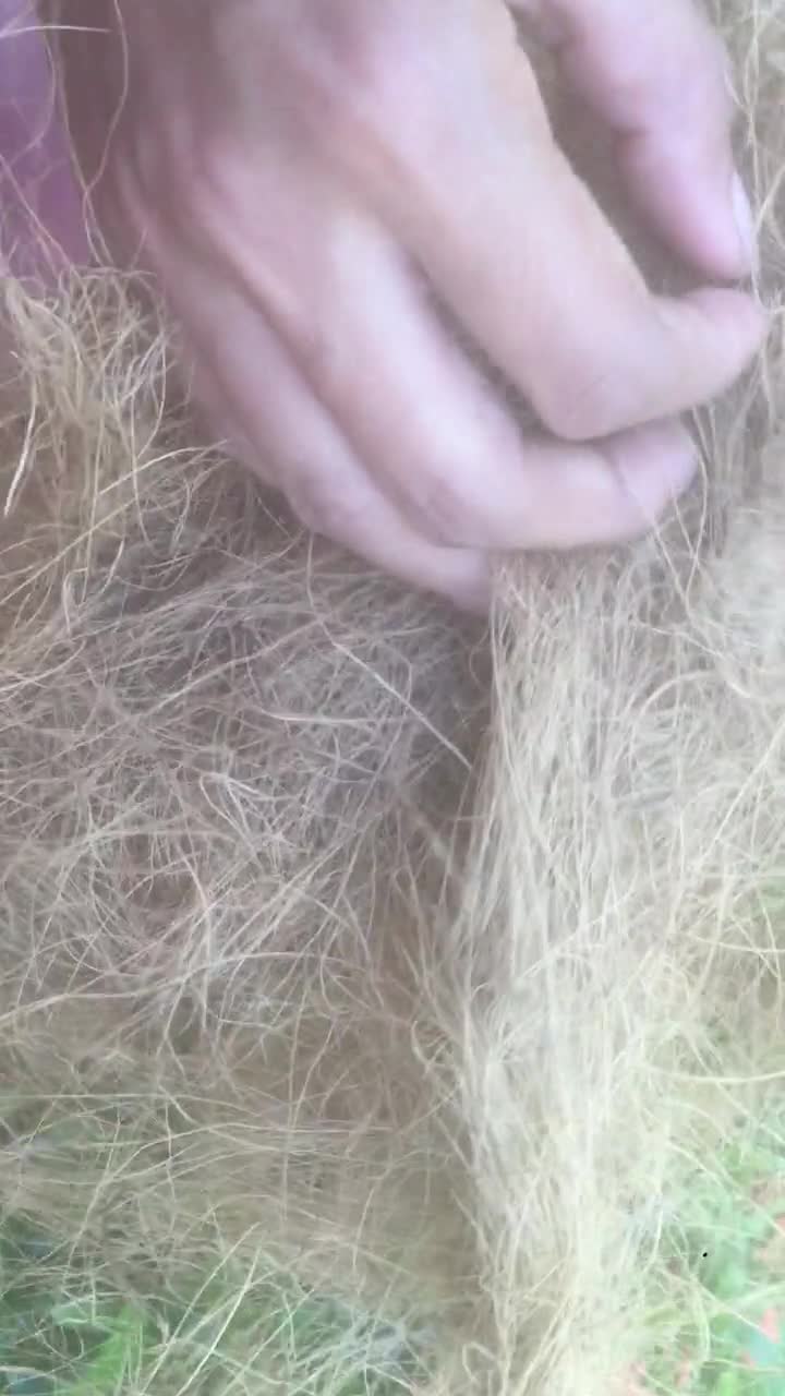 Fibra de cáscara de coco para plantas / Fibra de coco para orquídeas y anturios / Sustrato natural / Drenaje y soporte para las raíces video poster