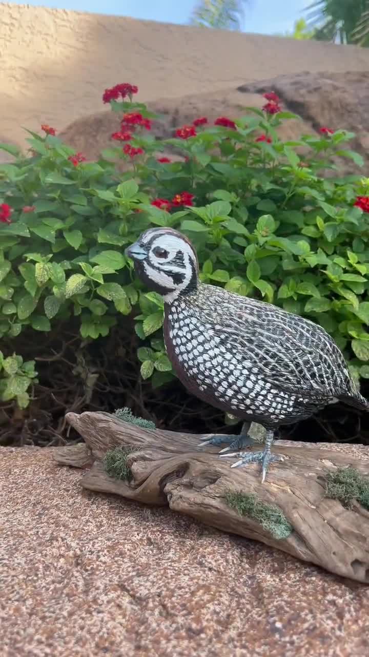 Quail- Hand Carved Wooden Feathers