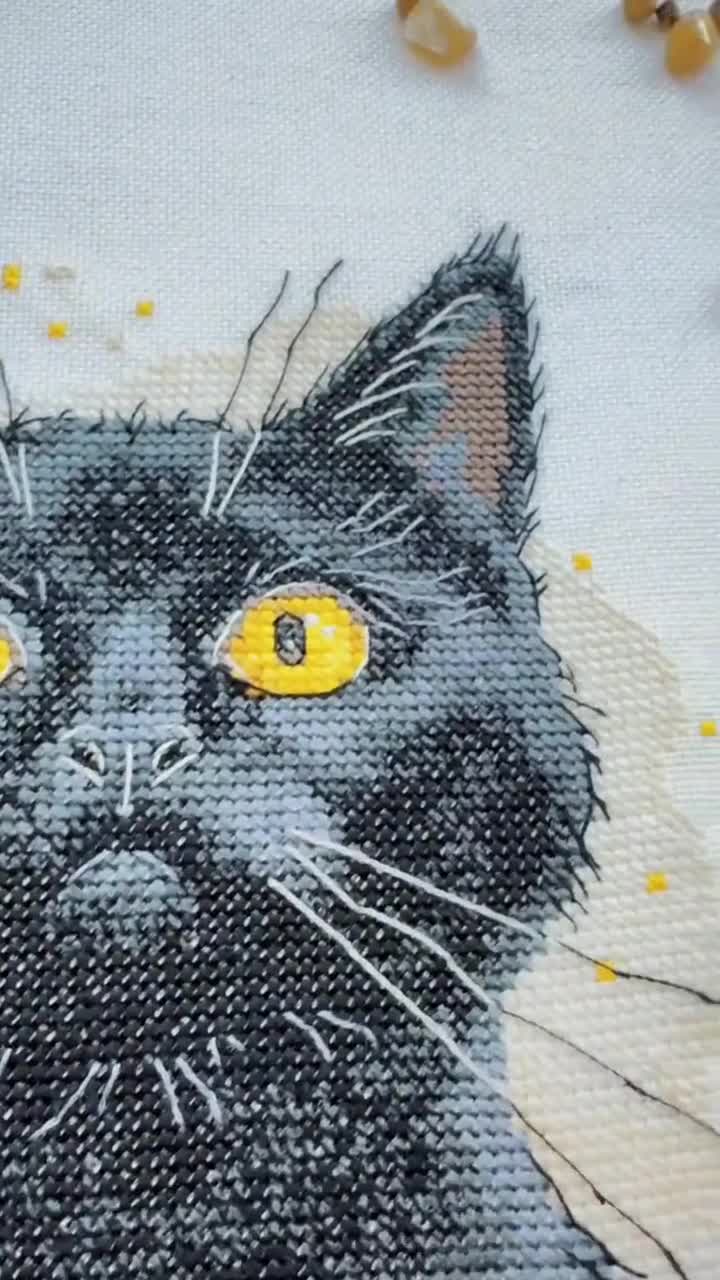 黒猫ページ ポー短編集 黒猫』｜感想・レビュー・試し読み - 読書メーター