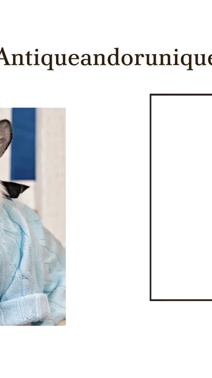 Peluca de anciana para disfraz de gato, patrón de crochet fácil, día 100 de clases, disfraz de anciano, foto de graduación, Baby Einstein, peluca afro video poster