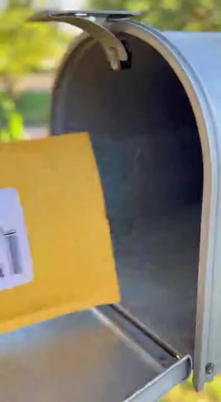 Fresh Guava Leaves (Hojas de Guayaba) – Daily Harvested – Natural Seasonal Color video poster