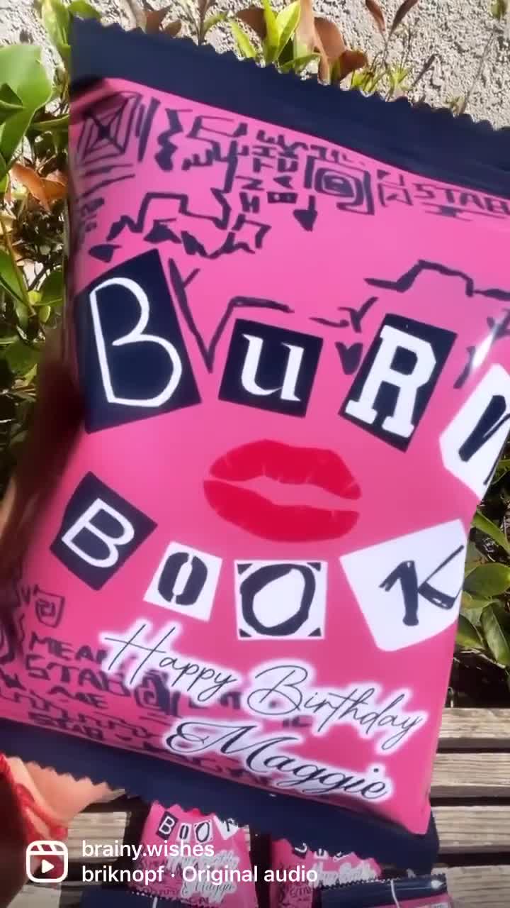 Burn Book Mean Girls Party Favor Chip Bags - The Brat Shack, NY