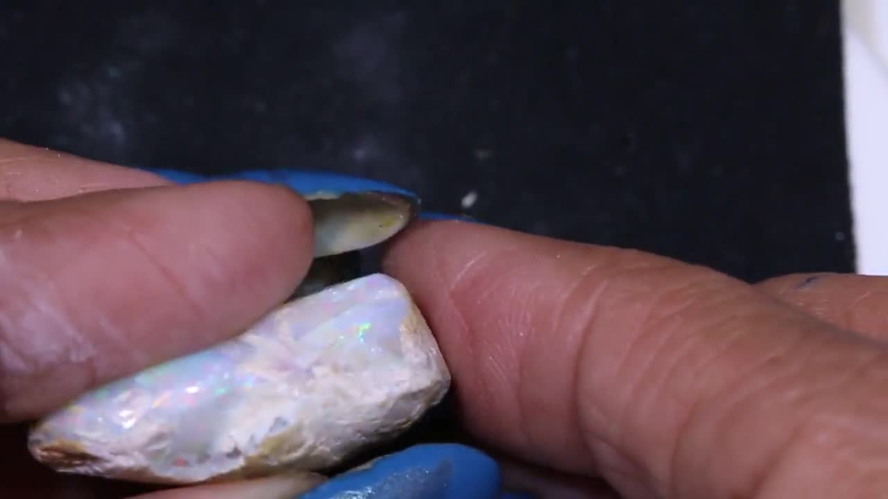 49 Cts Clam Shell Opalized Fossil Opal FO-2594 - Etsy