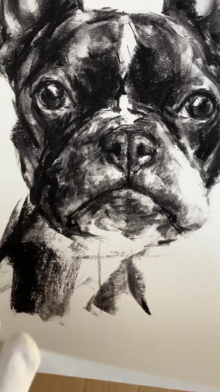 フレンチブルドッグのファインアートプリント、犬の木炭画、「Frenchie