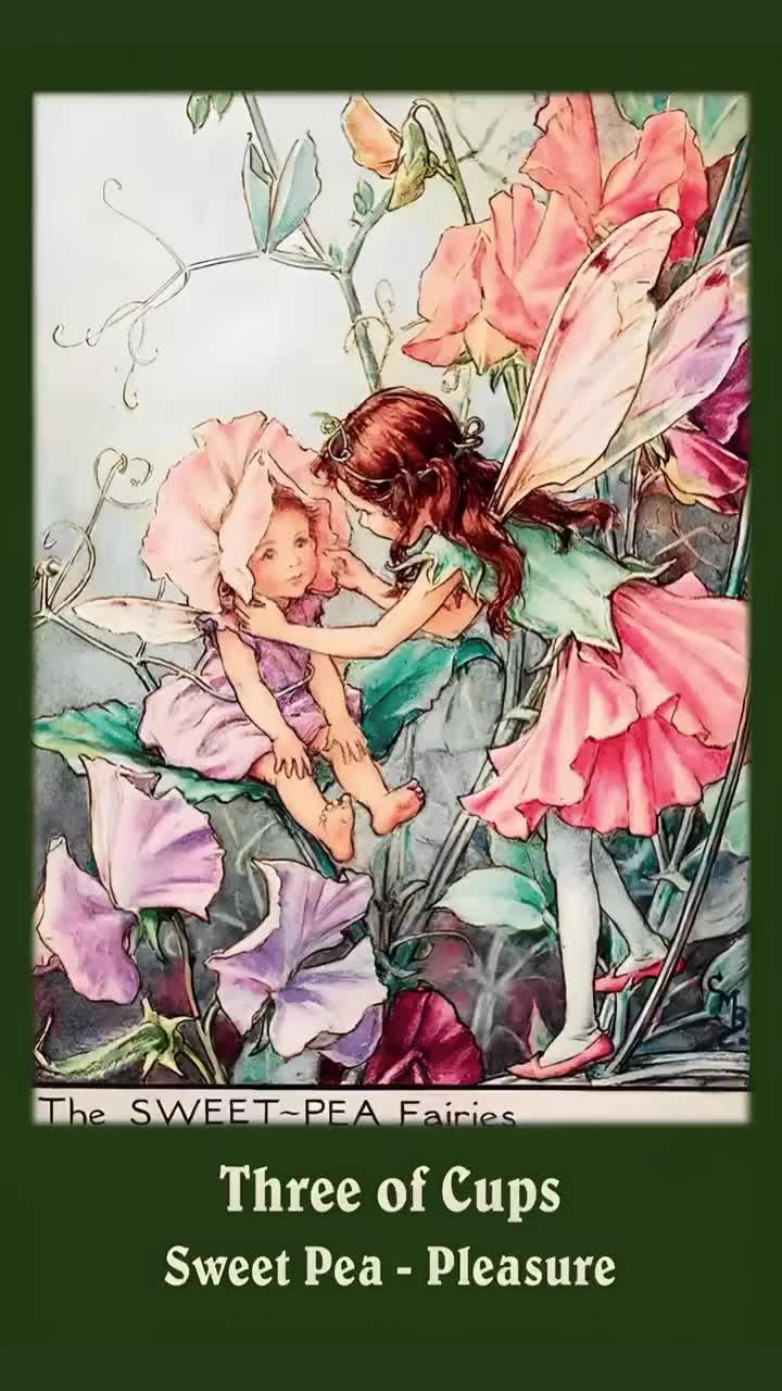 Flower Fairies Tarot Deck. Vintage Art Tarot Cards - Etsy