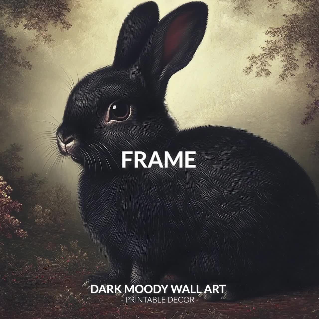 BLACK RABBIT めるる フォトブック BLACK RABBiT