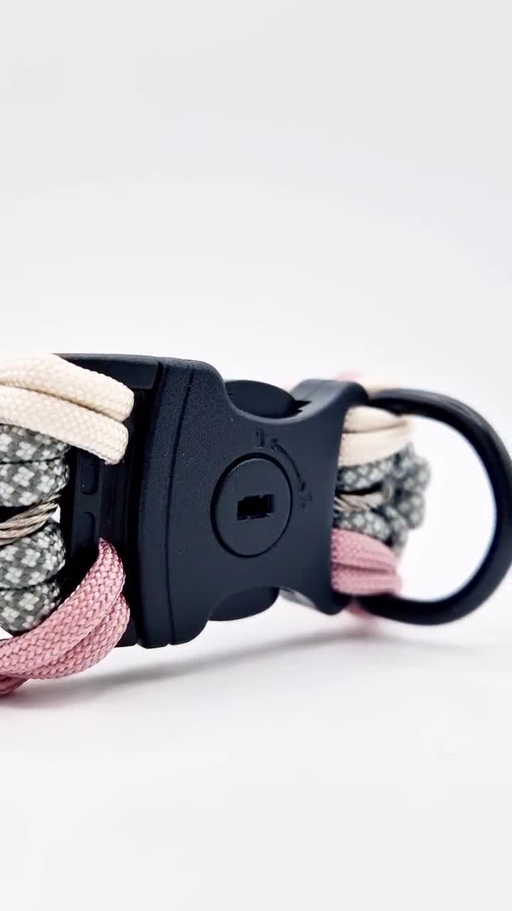 Lockable dog collar with tracker top