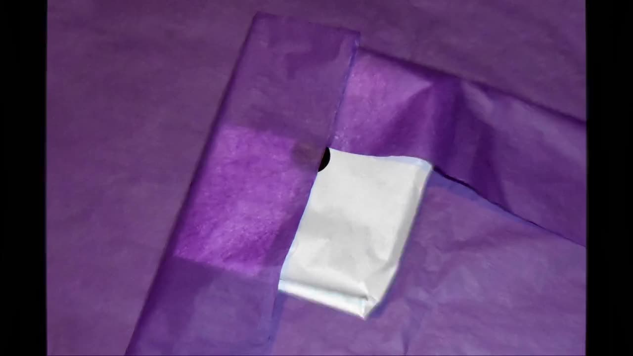 Unicorn and Squirrel Cushion Cover. video poster