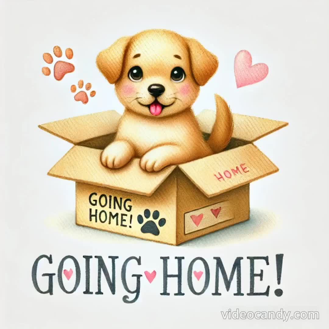 Dog Adoption Art, Puppy Rescue Art, Adopt Dog Clipart, Cute Dog