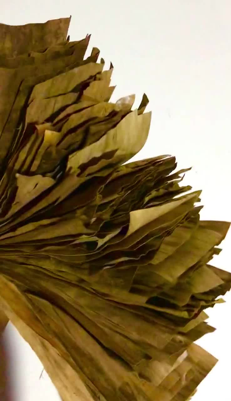 100 Pcs Dried Banana Leaves Natural Food Shrimp, Pet Supplies  Aquariums,natural Water Cleaner 