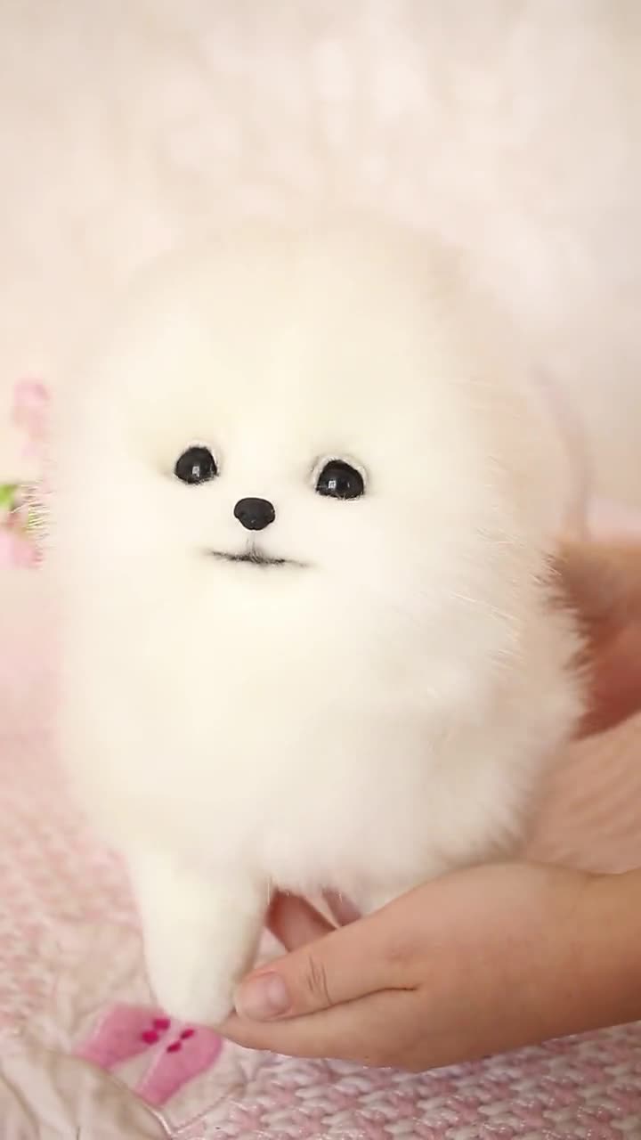 OOAK ポメラニアンぬいぐるみ：コレクター向けスピッツ子犬の