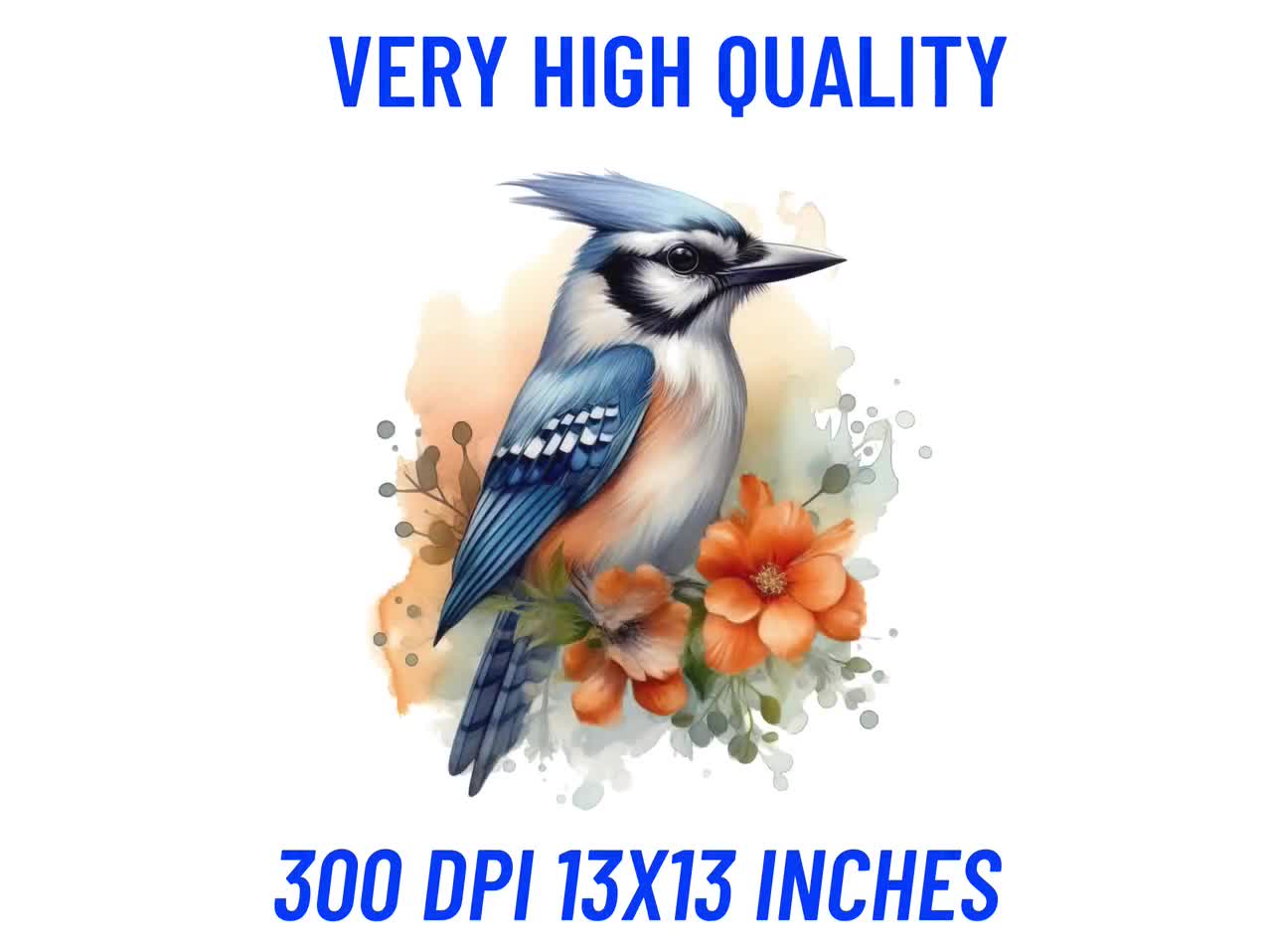 Premium AI Image  Blue jay bird isolated on white background Hand drawn  watercolor clipart generative ai