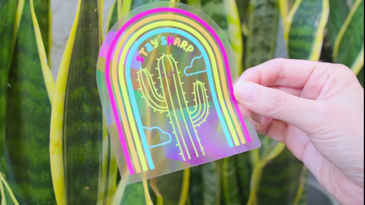 Planty Suncatcher Rainbow Stickers! — Stayin' Alive Succulents