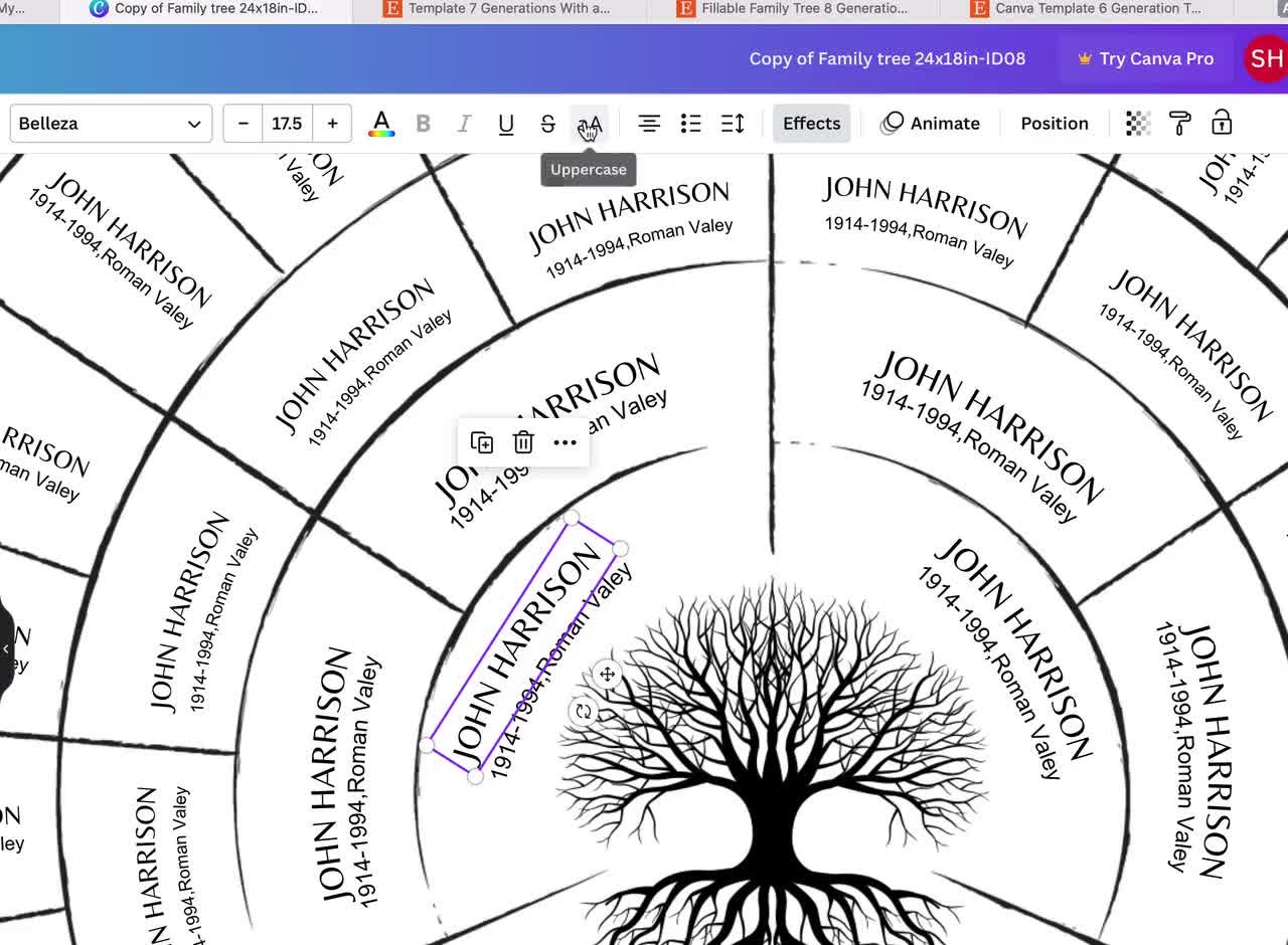 Editable Canva family tree Pedigree Chart template - 6 generations family  tree - ID12