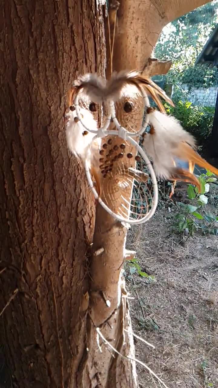 New Sri Lankan Handmade Owl Craft Peacock Feather Dreamcatcher Décor Gift  Lover