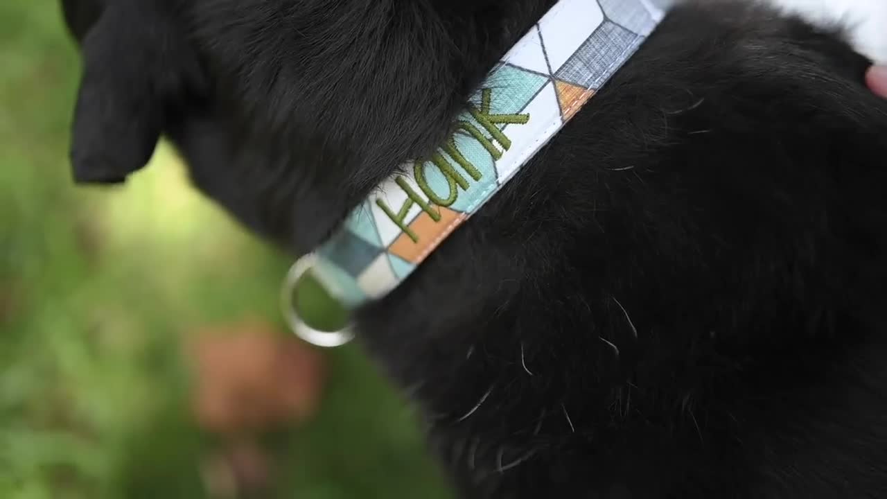 Fall Geometric Dog Collar Fall Dog Collar Autumn Dog Collar 