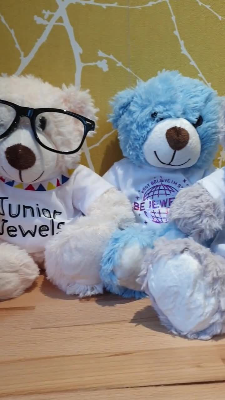 Taylor Teddy-perfect Gift for Every Swiftie! Taylor Swift Inspired