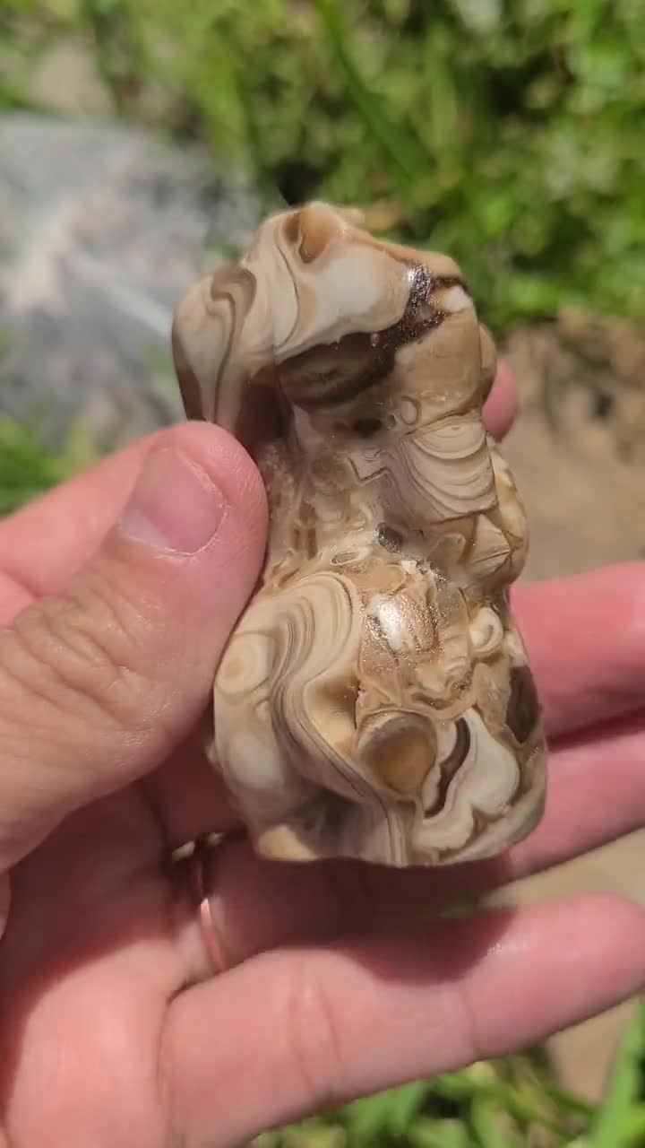 チョコレート カルサイト レディース ボディ チョコレートカルサイト妊婦用ボディ - Etsy 日本