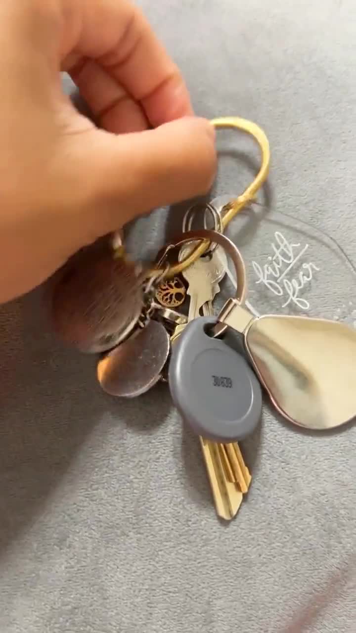 ESSENTIALSBYFABS Brass Carabiner Key Ring, Gold Carabiner Key Clip, Cute Keychain Holder, Gold Keychain, Gold Hook, Cute Brass Key Ring