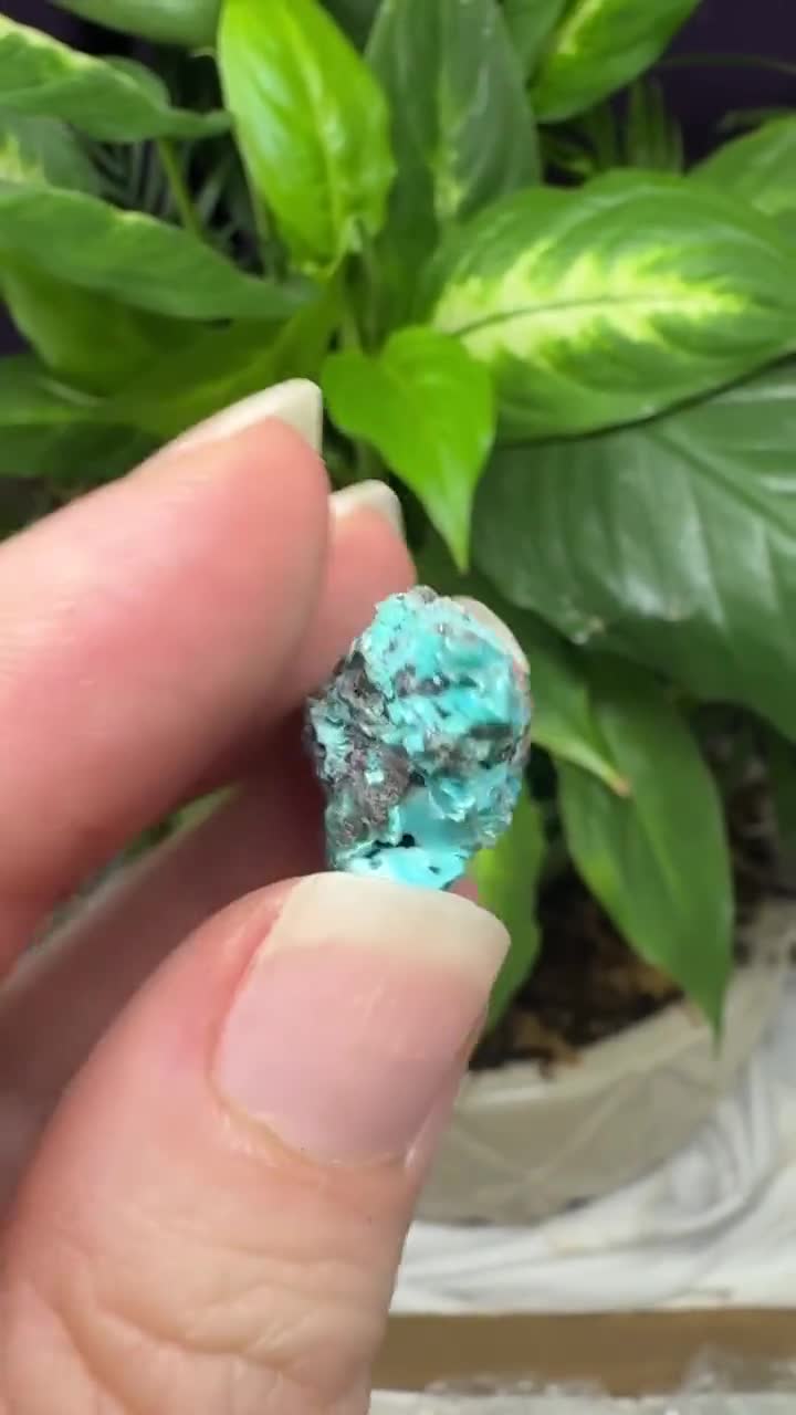 Chrysocolla~the Planet Mine~arizona~nature Made Goods~ledford's