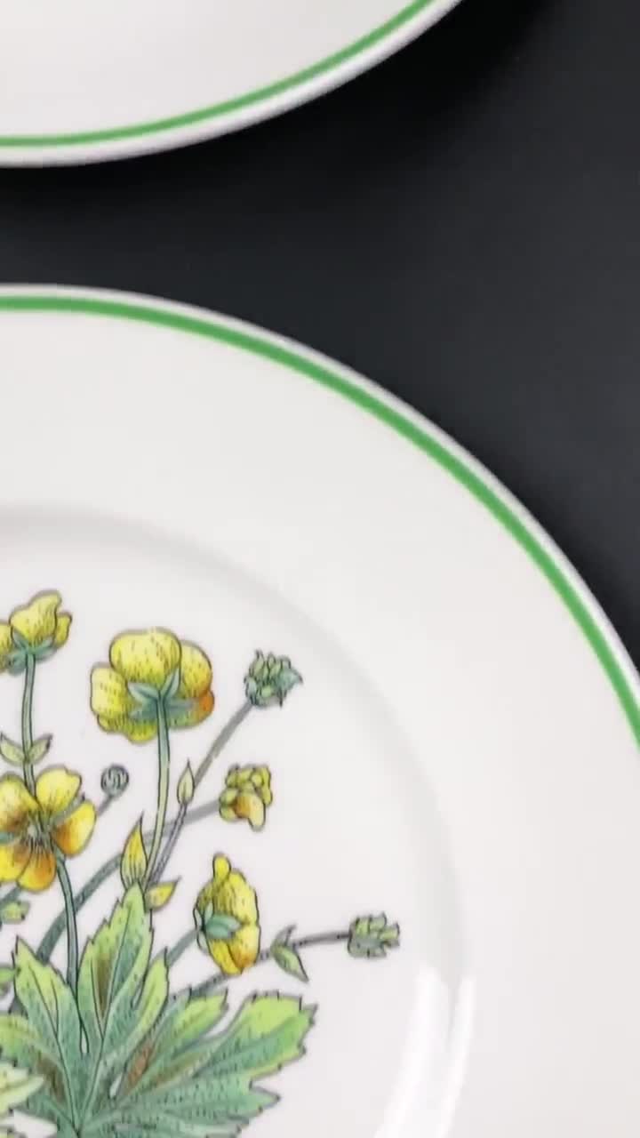 Tiffany & Co Wild Flowers by Johnson Brothers Salad Side Plates