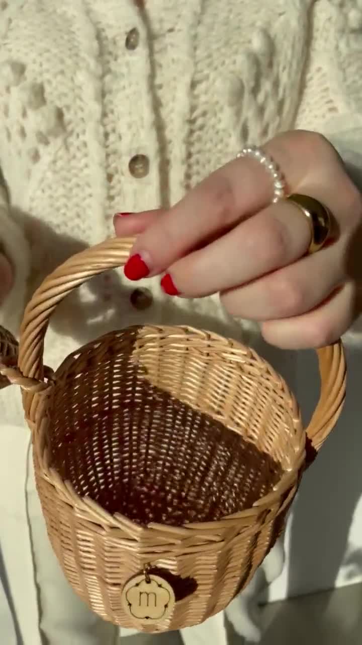 Small Trendy Straw Basket With Lid Jane Birkin Style Modern -  in 2023